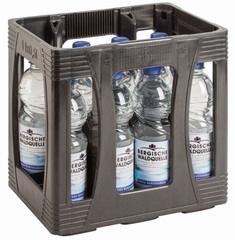 Bergische Waldquelle 11x0,5l PET