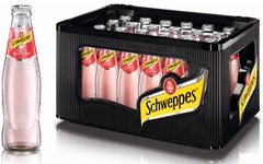 Schweppes Wildberry 24x0,2l