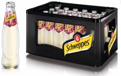 Schweppes Ginger Beer 24x0,2l