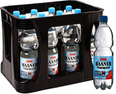 Haaner PET 12x1,0 L