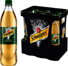 Schweppes Ginger Ale 6x1L PET